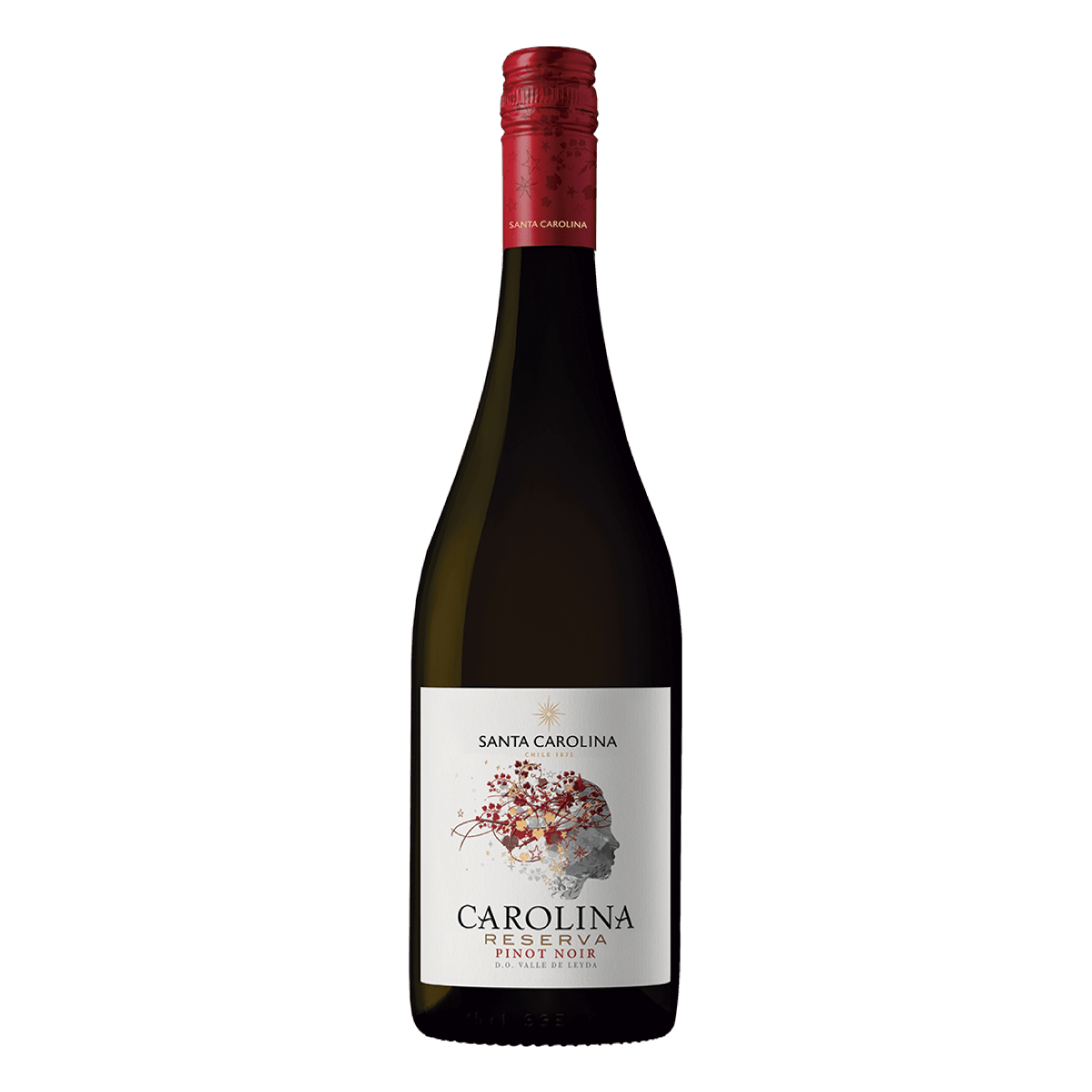 Vinho Carolina Reserva Pinot Noir
