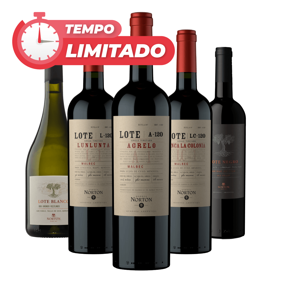 Kit 5 Lotes de Mendoza (Ícones da Norton)