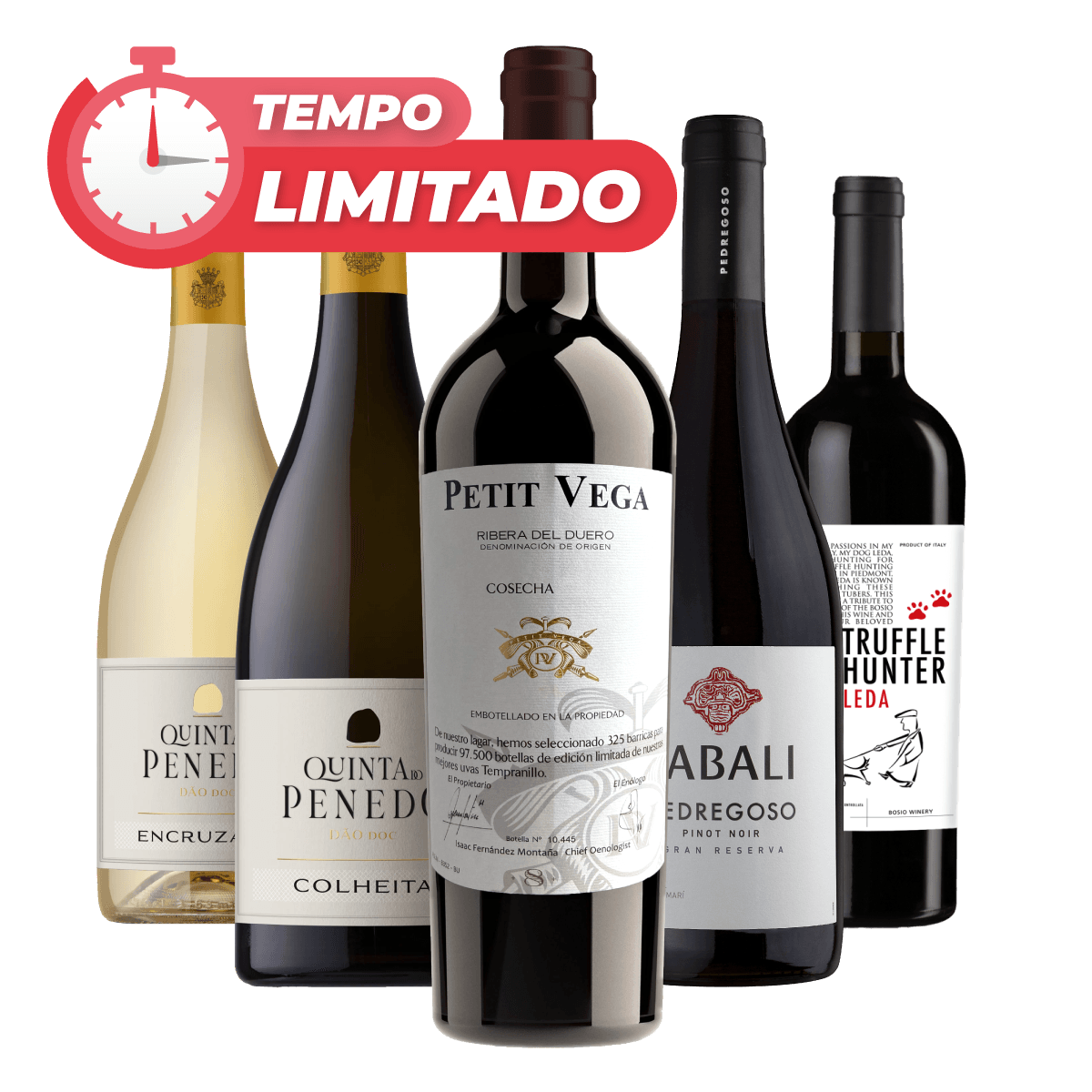 Kit 5 Vinhos Essenciais do Enófilo