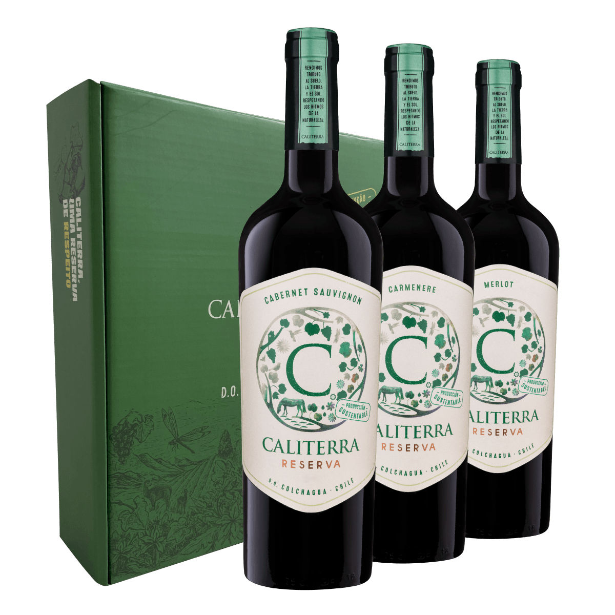 Kit 3 Vinhos Caliterra Reserva + Caixa de Presente Grátis
