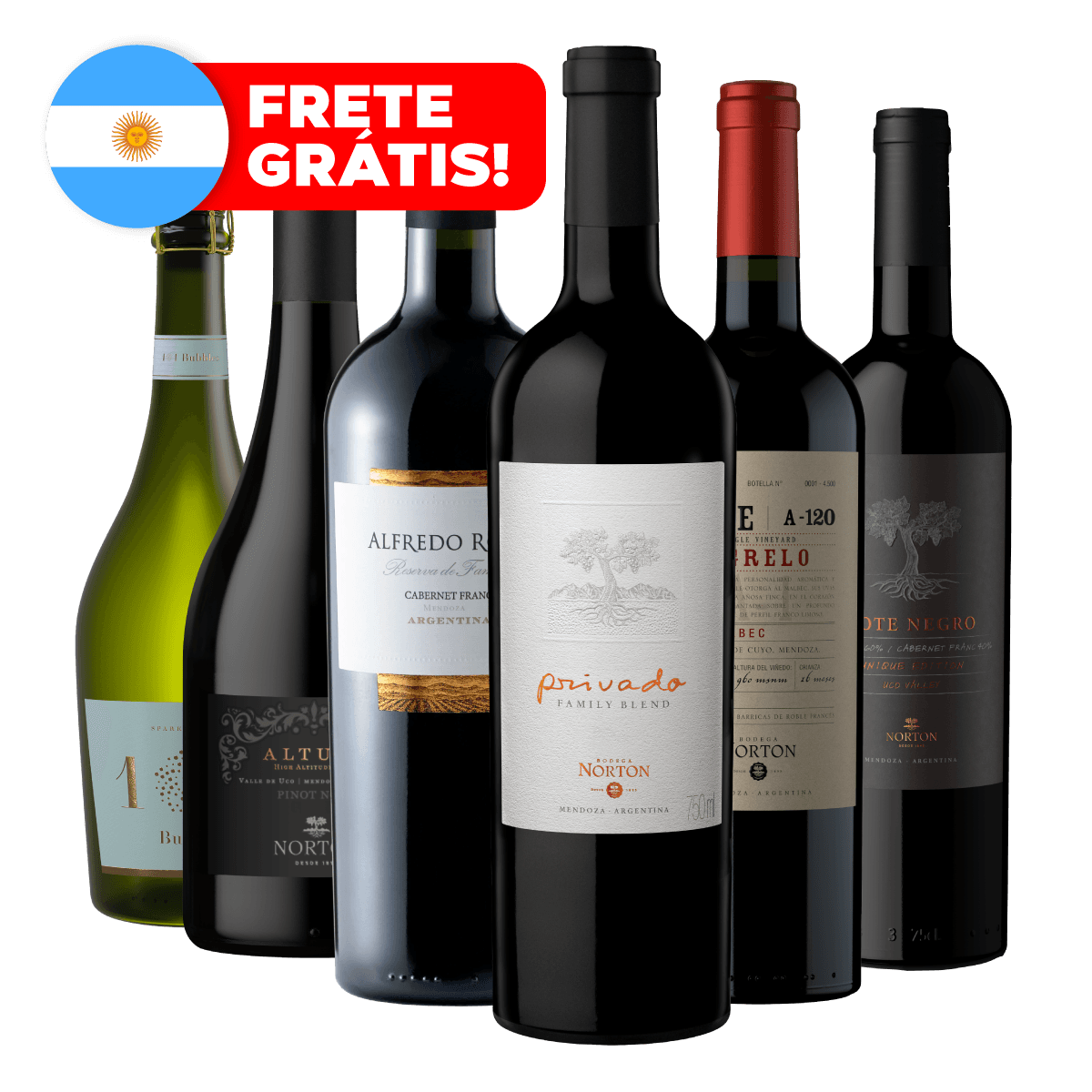 Kit 6 Vinhos Argentinos (Ícones do Mundo) + Frete Grátis