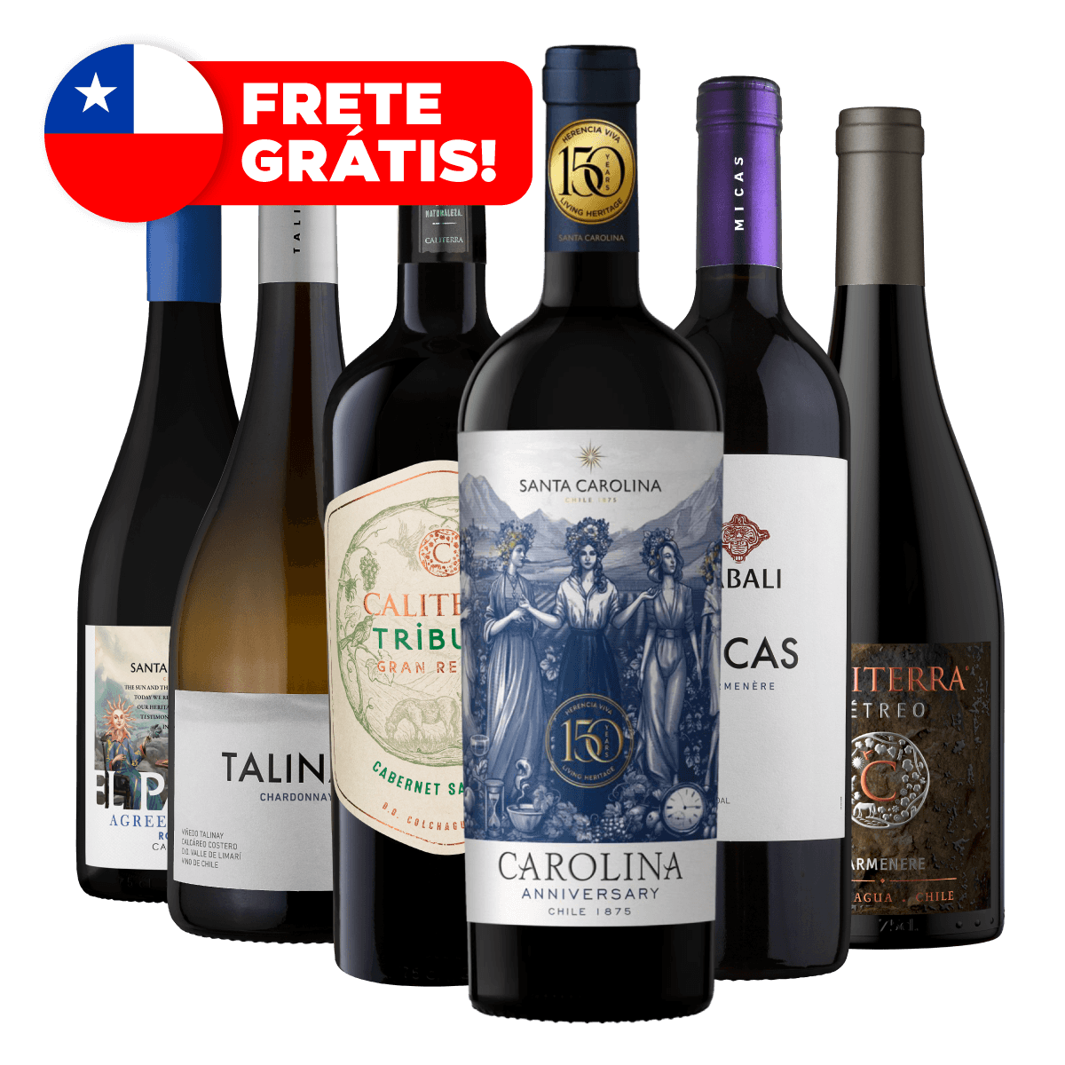 Kit 6 Vinhos Chilenos (Ícones do Mundo) + Frete Grátis