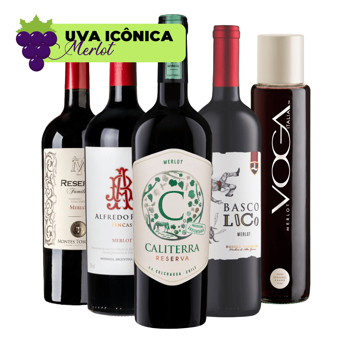 Kit 5 Vinhos Merlot Seleção Especial