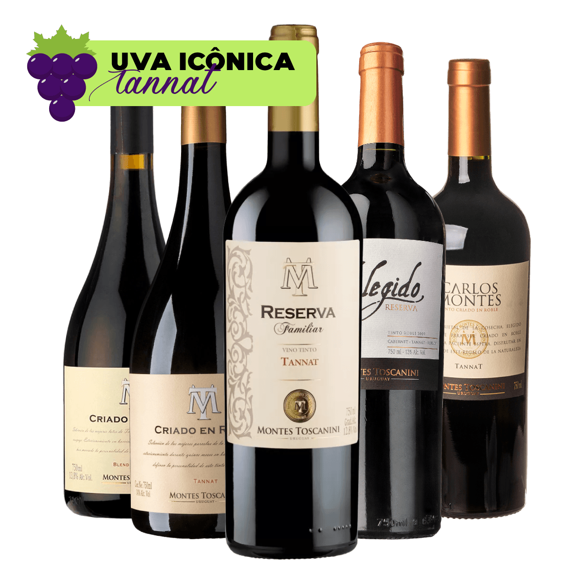 Kit 5 Vinhos Tannat Seleção Especial