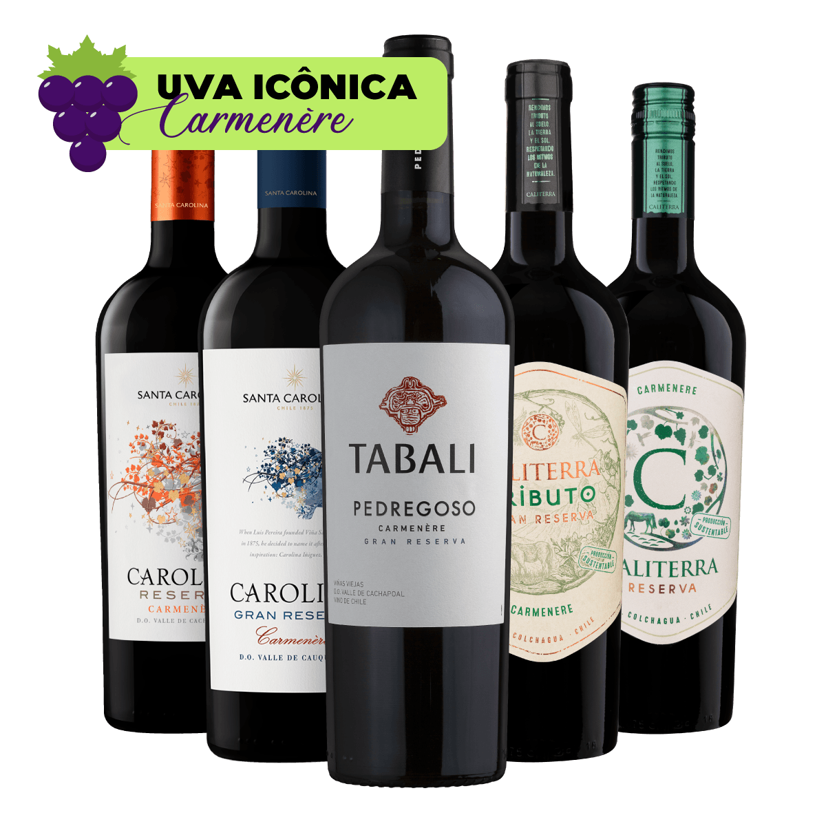 Kit 5 Vinhos Carmenère Seleção Especial