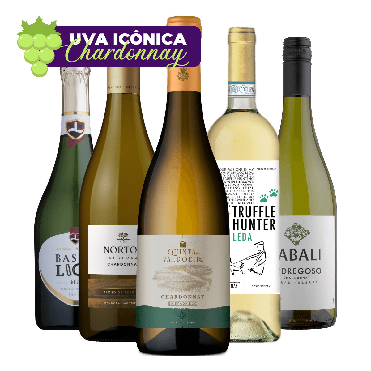 Kit 5 Vinhos Chardonnay Seleção Especial