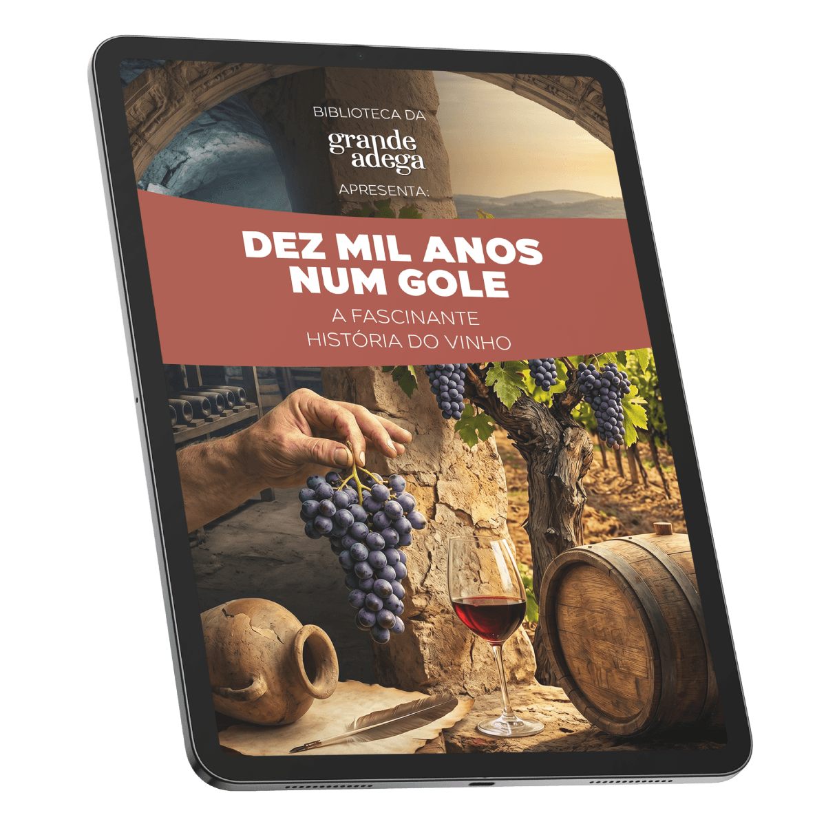 E-book: A História do Vinho